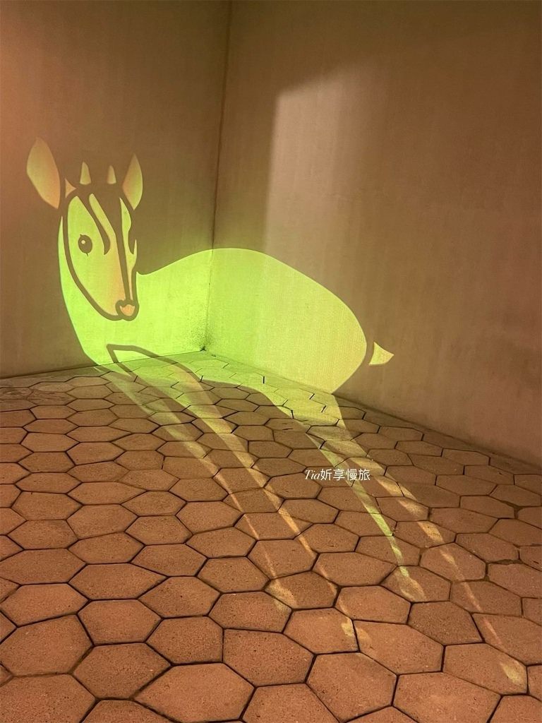 262895340_323984212607899_8046591078155406073_n.jpeg