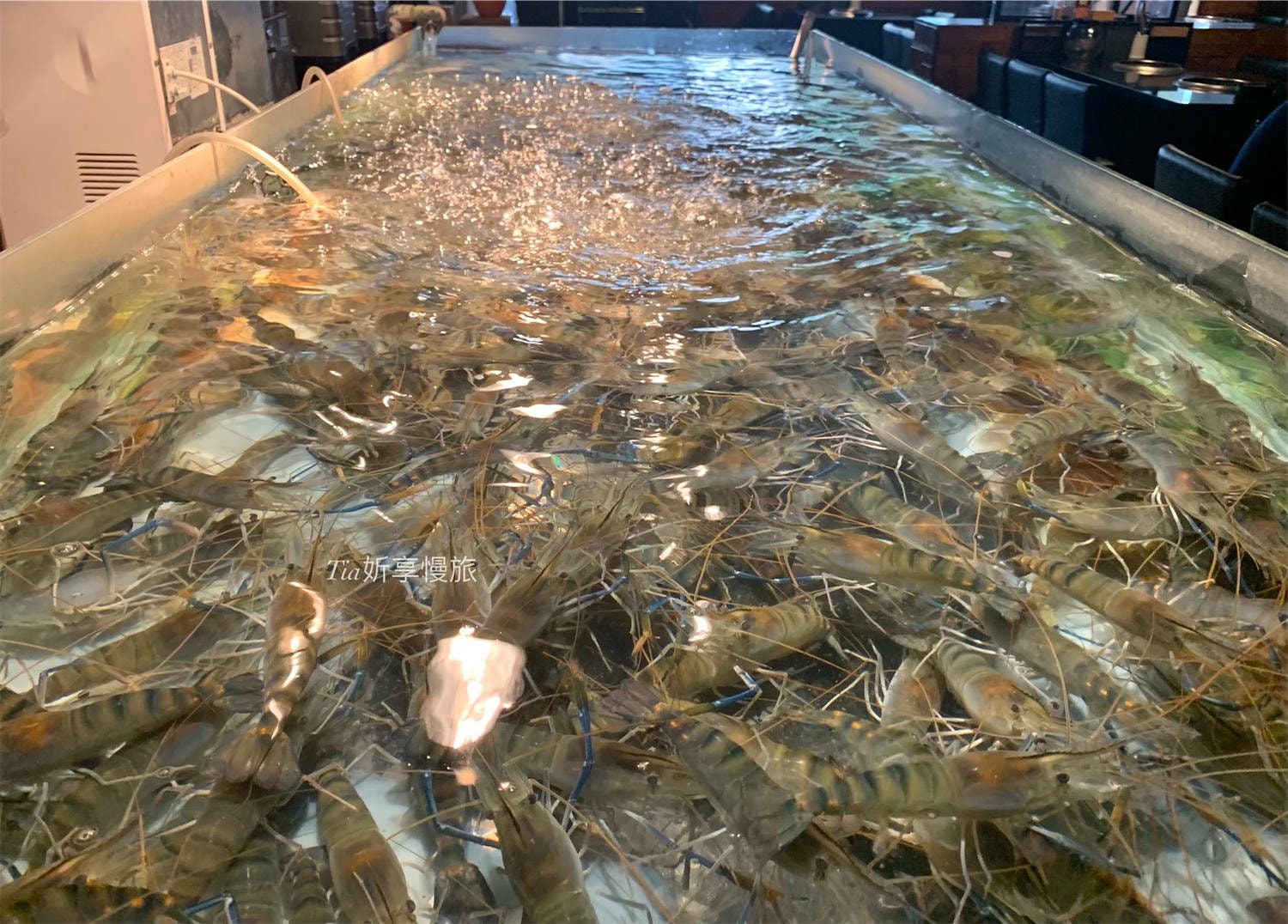 潼阪帝王蟹黑毛牛頂級燒烤|台中文心路美食不限時燒烤,A5和牛、活體泰國蝦、海鮮專人代烤服務一吃上癮! - 第15張圖 潼阪帝王蟹黑毛牛頂級燒烤|台中文心路美食不限時燒烤,A5和牛、活體泰國蝦、海鮮專人代烤服務一吃上癮!