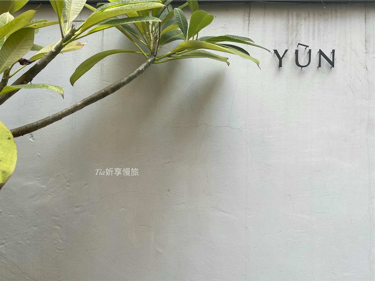 蘊 YUN SALON 中山店|中山護髮髮廊推薦,寬敞落地窗空間黑曜光護髮(含價格) - 第14張圖 蘊 YUN SALON 中山店|中山護髮髮廊推薦,寬敞落地窗空間黑曜光護髮(含價格)