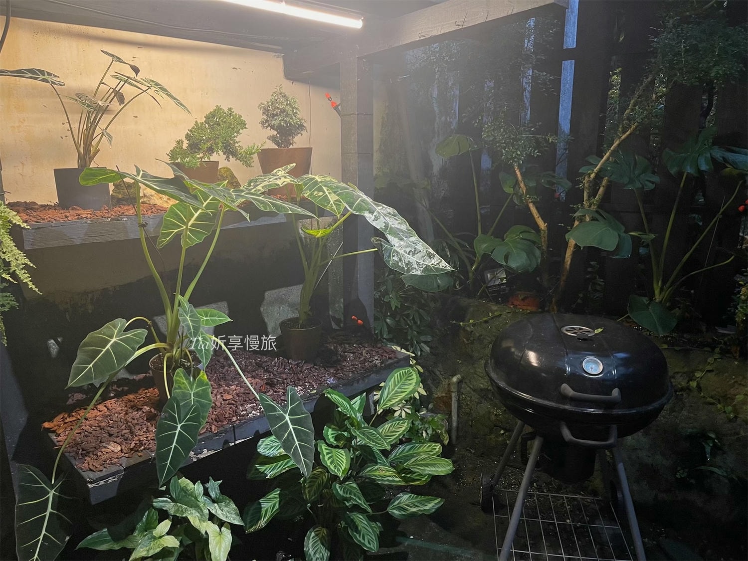 濦崌四季|九份金瓜石住宿推薦,2人即可包棟,無敵浴池是民宿最大亮點 - 第37張圖 濦崌四季|九份金瓜石住宿推薦,2人即可包棟,無敵浴池是民宿最大亮點