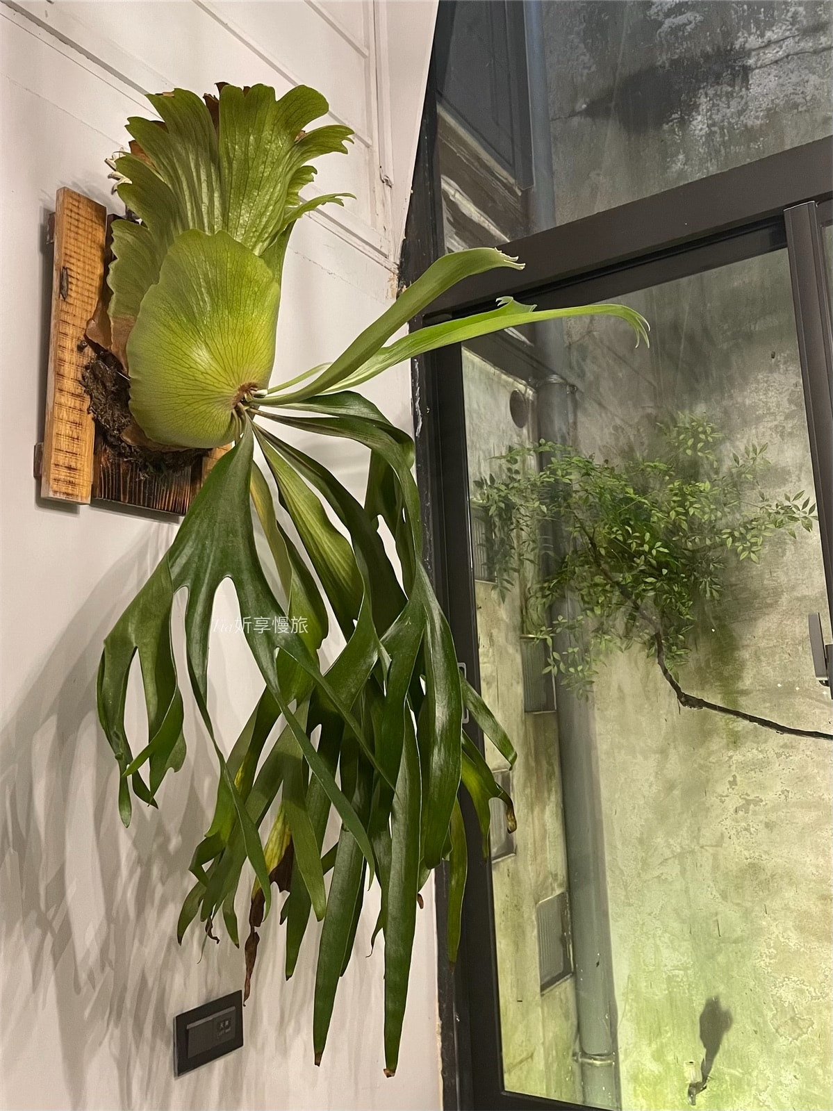濦崌四季|九份金瓜石住宿推薦,2人即可包棟,無敵浴池是民宿最大亮點 - 第21張圖 濦崌四季|九份金瓜石住宿推薦,2人即可包棟,無敵浴池是民宿最大亮點