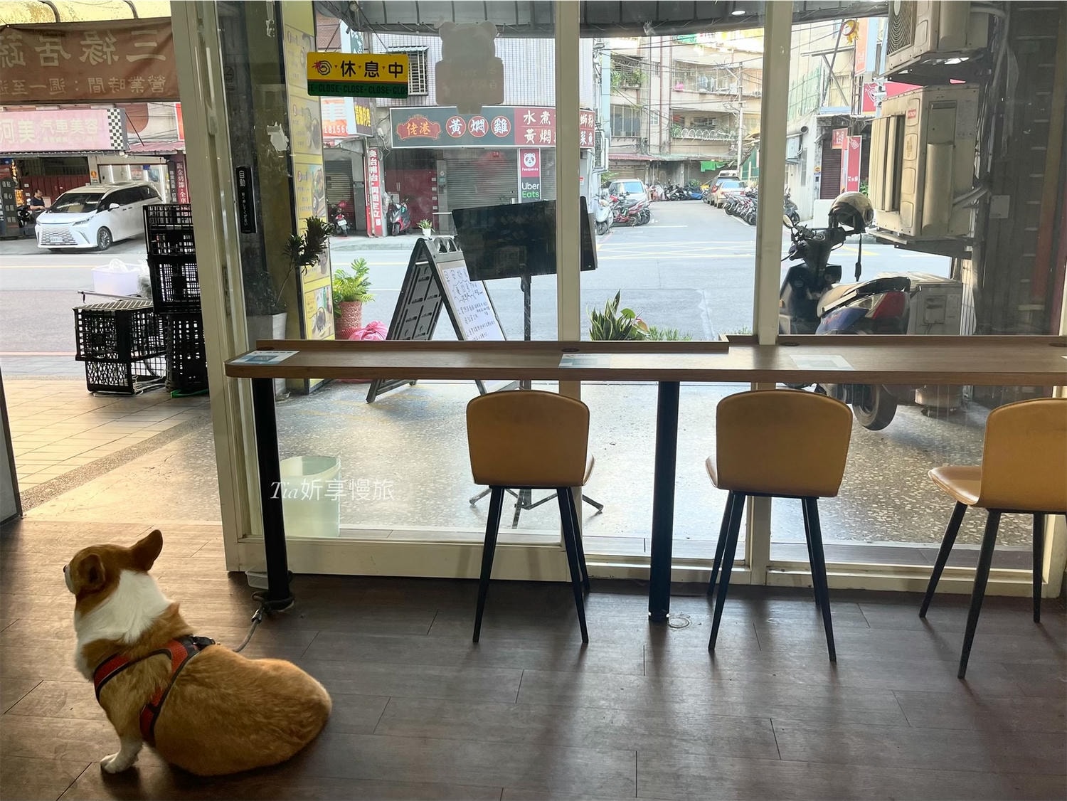 新店早午餐推薦|早安好食光X嘟比飯麵館 新店寵物友善餐廳,排骨炒泡麵、炸雞蛋餅等特色菜單 - 第21張圖 新店早午餐推薦|早安好食光X嘟比飯麵館 新店寵物友善餐廳,排骨炒泡麵、炸雞蛋餅等特色菜單