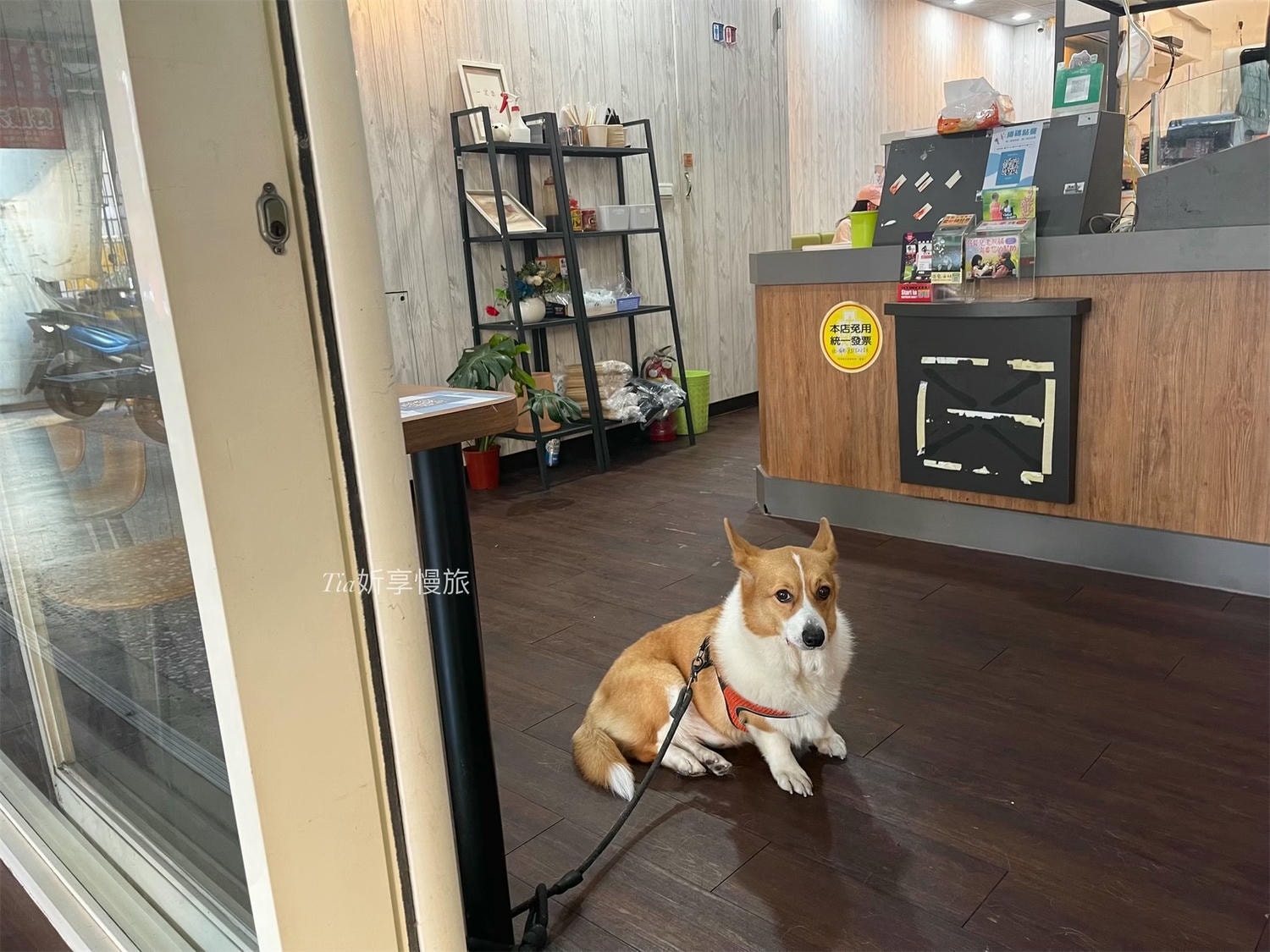 新店早午餐推薦|早安好食光X嘟比飯麵館 新店寵物友善餐廳,排骨炒泡麵、炸雞蛋餅等特色菜單 - 第4張圖 新店早午餐推薦|早安好食光X嘟比飯麵館 新店寵物友善餐廳,排骨炒泡麵、炸雞蛋餅等特色菜單