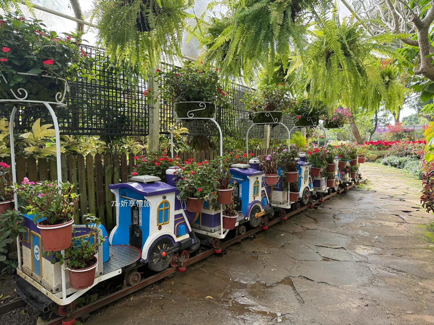 苗栗景點住宿推薦|花露農場民宿 花露精油城堡民宿開箱評價,親子情侶皆宜的浪漫景點 - 第37張圖 苗栗景點住宿推薦|花露農場民宿 花露精油城堡民宿開箱評價,親子情侶皆宜的浪漫景點