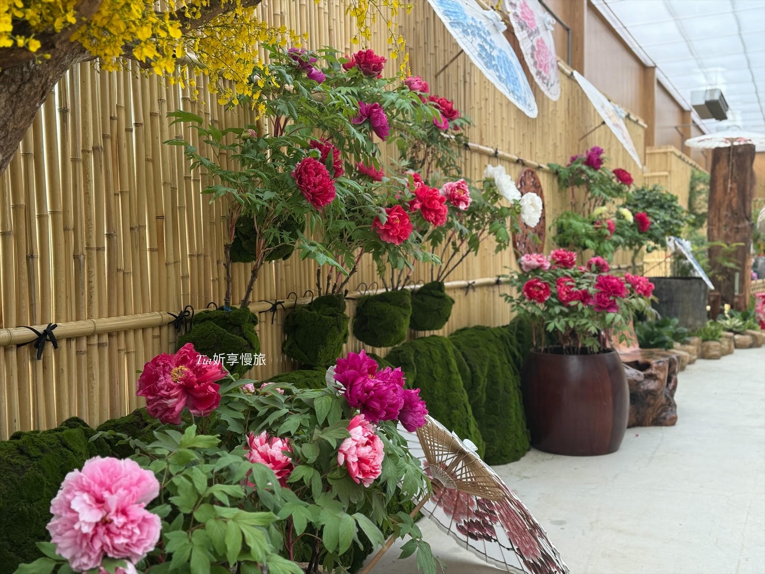 苗栗景點住宿推薦|花露農場民宿 花露精油城堡民宿開箱評價,親子情侶皆宜的浪漫景點 - 第47張圖 苗栗景點住宿推薦|花露農場民宿 花露精油城堡民宿開箱評價,親子情侶皆宜的浪漫景點