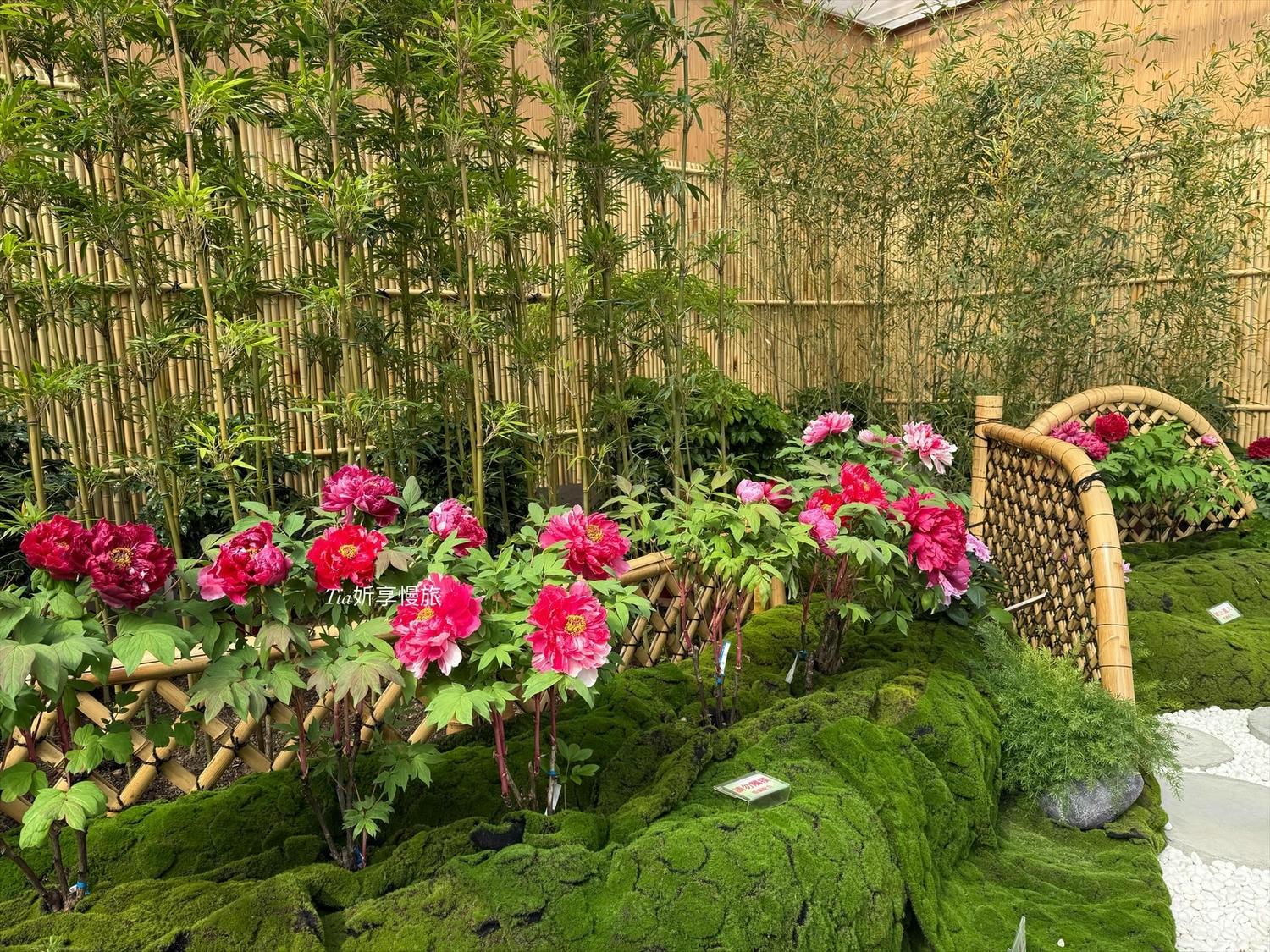 苗栗景點住宿推薦|花露農場民宿 花露精油城堡民宿開箱評價,親子情侶皆宜的浪漫景點 - 第49張圖 苗栗景點住宿推薦|花露農場民宿 花露精油城堡民宿開箱評價,親子情侶皆宜的浪漫景點