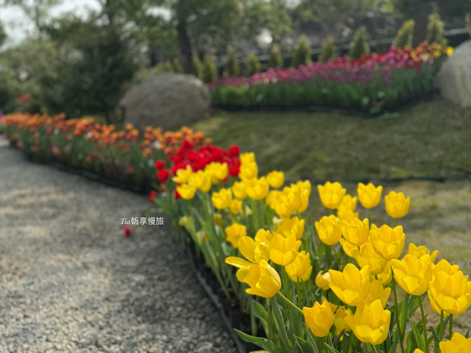 苗栗景點住宿推薦|花露農場民宿 花露精油城堡民宿開箱評價,親子情侶皆宜的浪漫景點 - 第42張圖 苗栗景點住宿推薦|花露農場民宿 花露精油城堡民宿開箱評價,親子情侶皆宜的浪漫景點