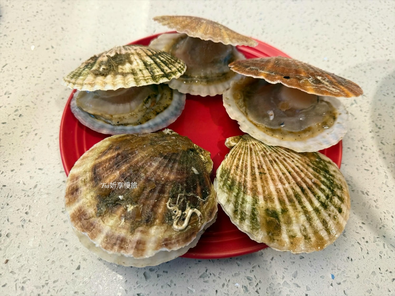 宅配海鮮推薦|魚有王X姐夫嚴選 帆立貝XO醬、扇貝、鮪魚鳳尾丁開箱評價 - 第9張圖 宅配海鮮推薦|魚有王X姐夫嚴選 帆立貝XO醬、扇貝、鮪魚鳳尾丁開箱評價