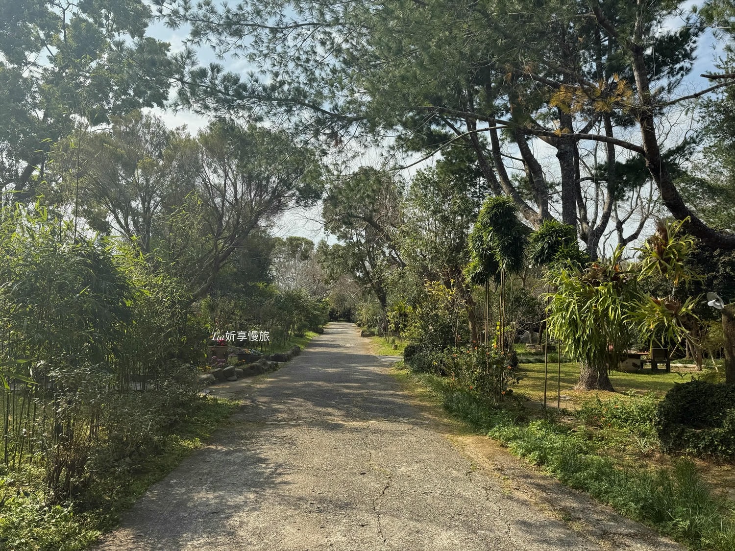 花自在食宿館｜苗栗卓蘭一泊三食villa木屋住宿，以花為主的早餐、下午茶、無菜單晚餐與附近景點介紹