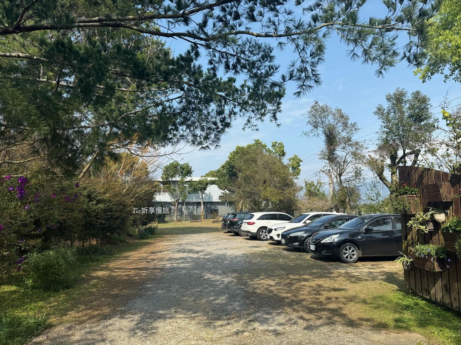 花自在食宿館｜苗栗卓蘭一泊三食villa木屋住宿，以花為主的早餐、下午茶、無菜單晚餐與附近景點介紹