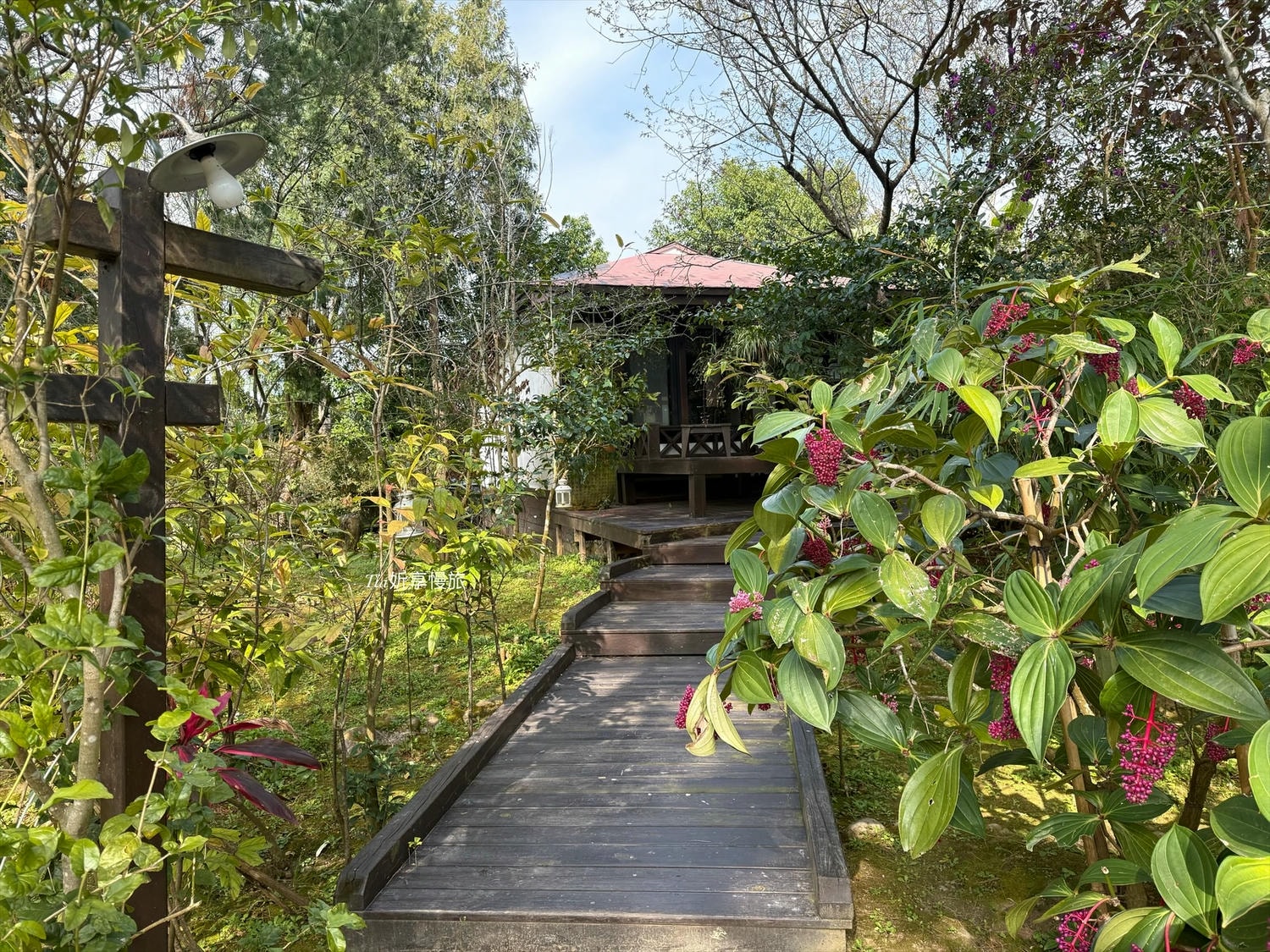 花自在食宿館｜苗栗卓蘭一泊三食villa木屋住宿，以花為主的早餐、下午茶、無菜單晚餐與附近景點介紹