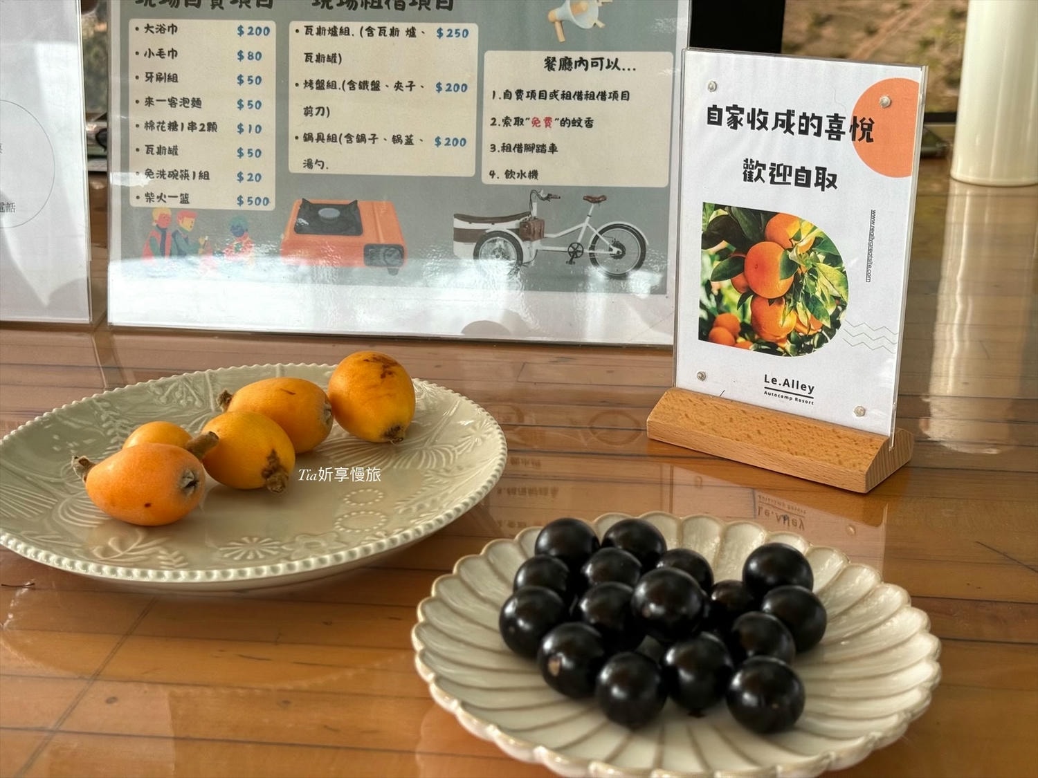小巷清風|苗栗卓蘭豪華露營車一泊三食開箱評價(含晚餐、早午餐、採草莓) - 第5張圖 小巷清風|苗栗卓蘭豪華露營車一泊三食開箱評價(含晚餐、早午餐、採草莓)
