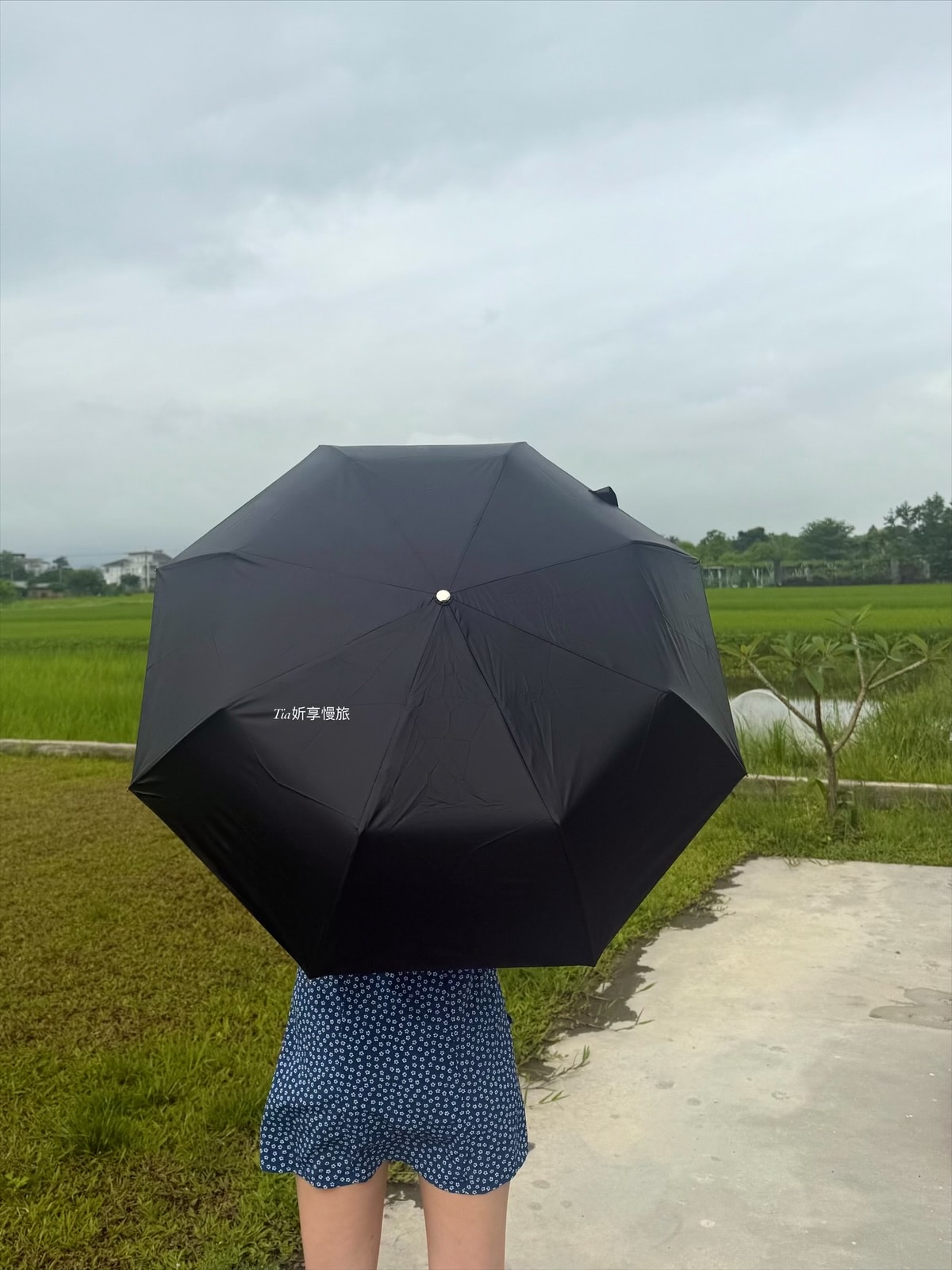雨傘推薦|翡冷翠文創 新藝術折傘、一片式自動直傘耐用又藝術(文末折扣碼) - 第10張圖 雨傘推薦|翡冷翠文創 新藝術折傘、一片式自動直傘耐用又藝術(文末折扣碼)
