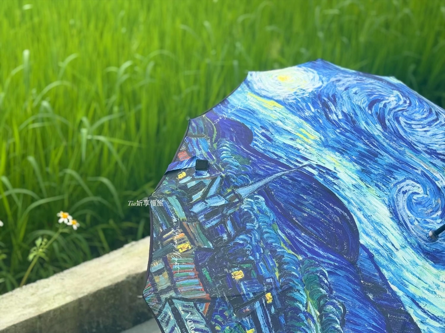 雨傘推薦|翡冷翠文創 新藝術折傘、一片式自動直傘耐用又藝術(文末折扣碼) - 第11張圖 雨傘推薦|翡冷翠文創 新藝術折傘、一片式自動直傘耐用又藝術(文末折扣碼)