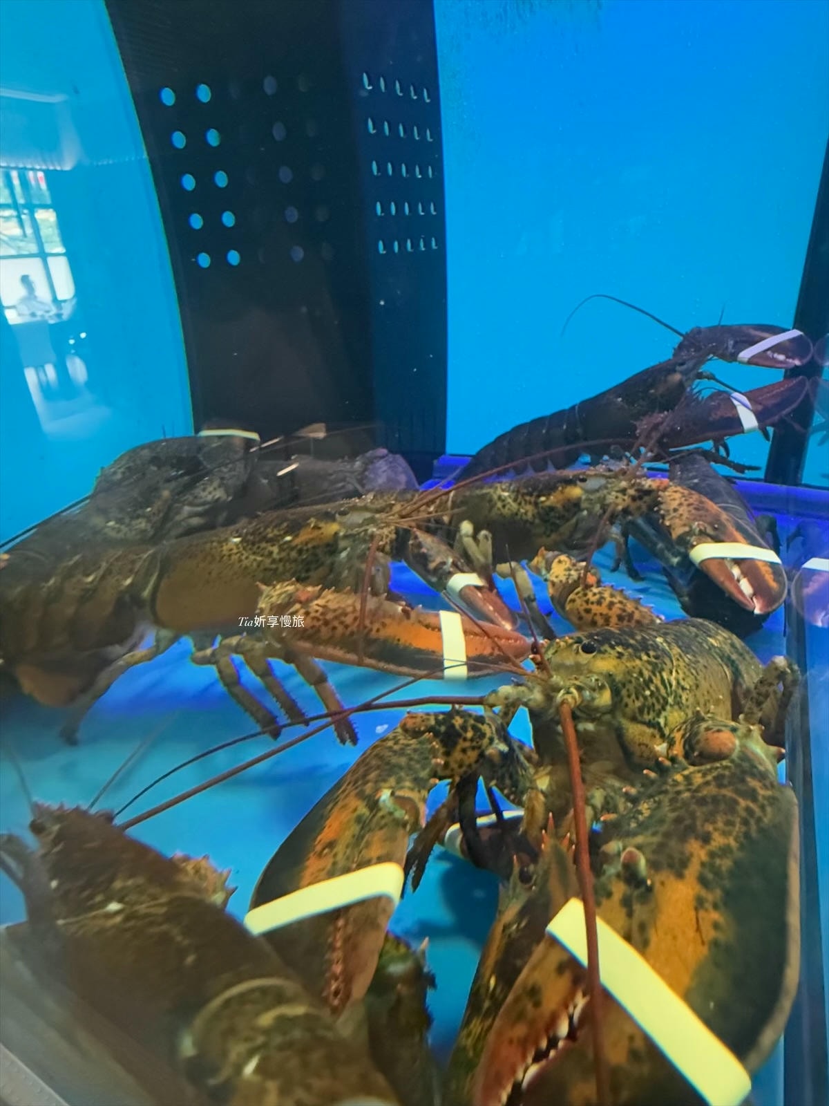 南投埔里火鍋推薦｜渡之島日高鍋物，推牛奶鍋與海鮮拼盤、18度C冰淇淋（含菜單）