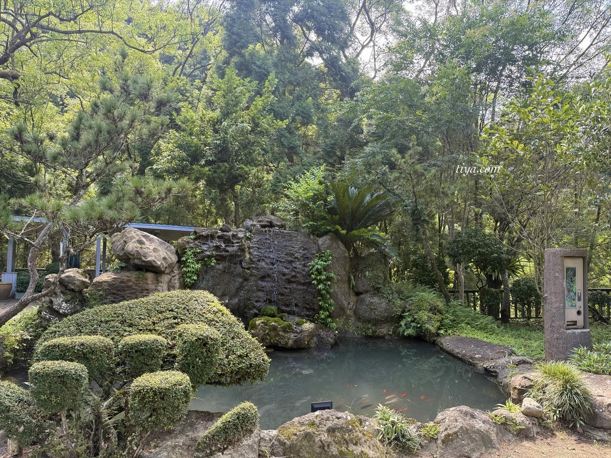 登美山莊｜新竹住宿一泊二食，早晚餐超美味！賞山景、螢火蟲的世外桃源