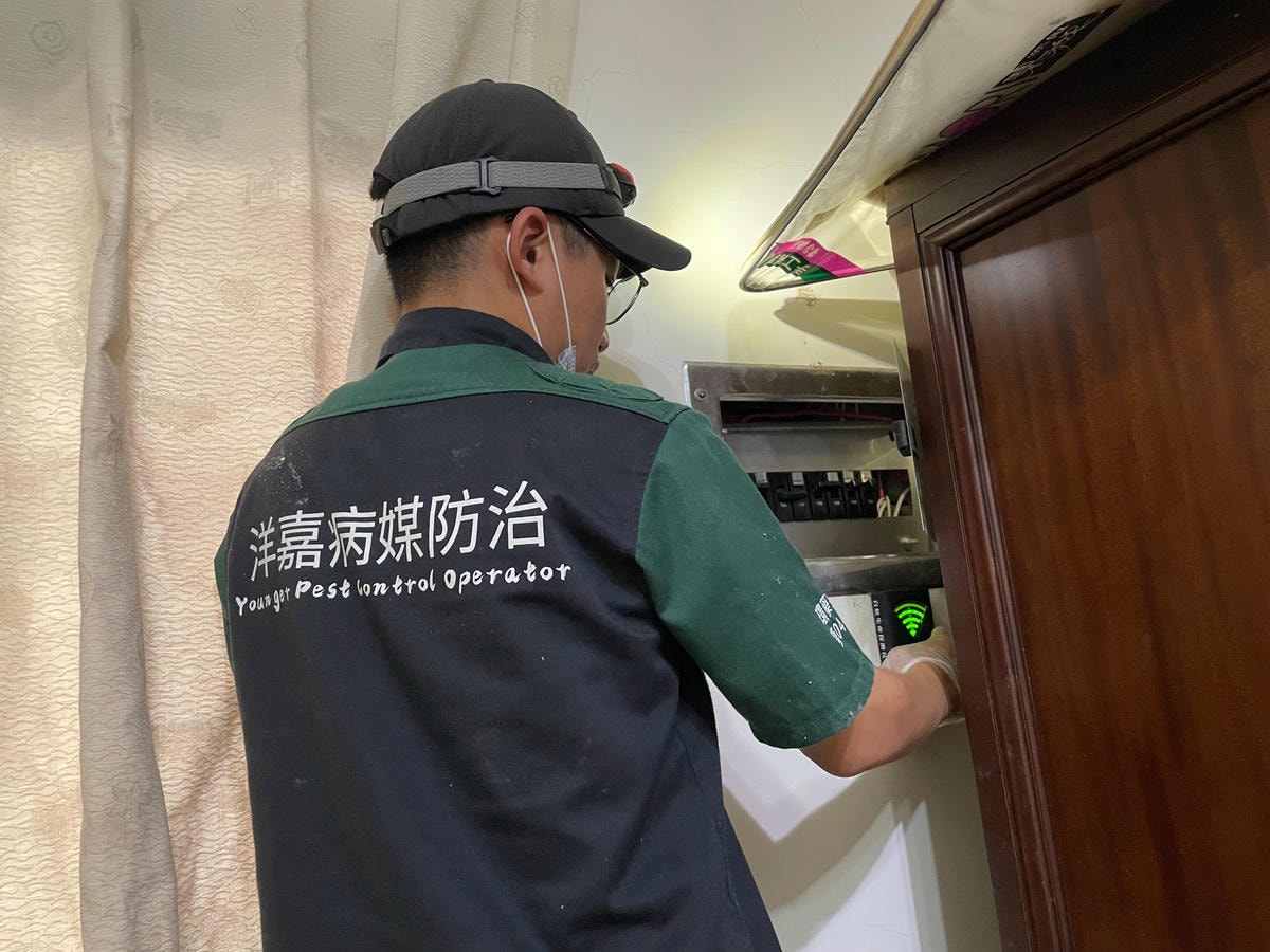 新竹桃園除白蟻除蟲|洋嘉病媒防治,專業消毒防治建議這樣做! - 第4張圖 新竹桃園除白蟻除蟲|洋嘉病媒防治,專業消毒防治建議這樣做!
