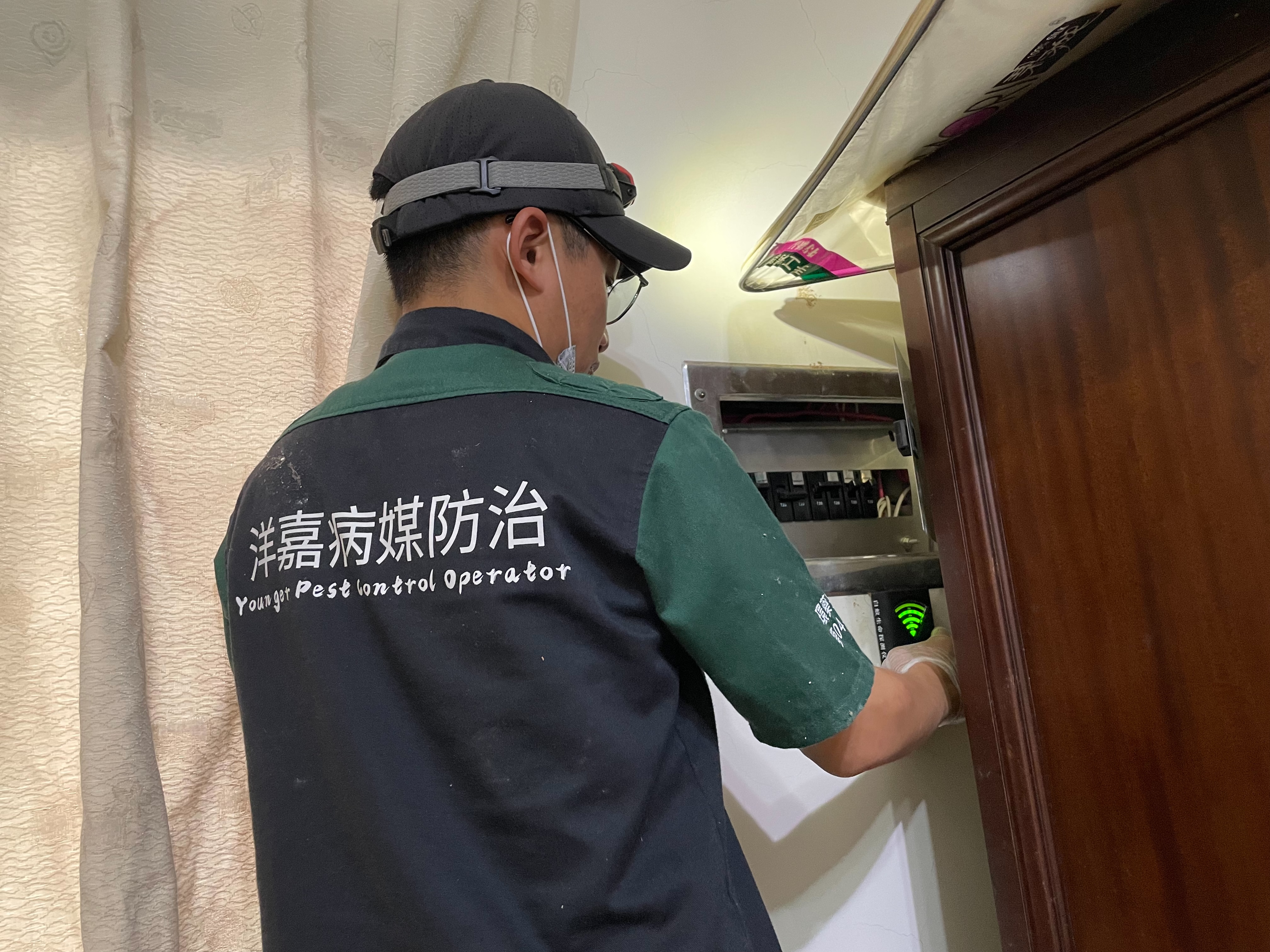 新竹桃園除白蟻除蟲|洋嘉病媒防治,專業消毒防治建議這樣做! - 第4張圖