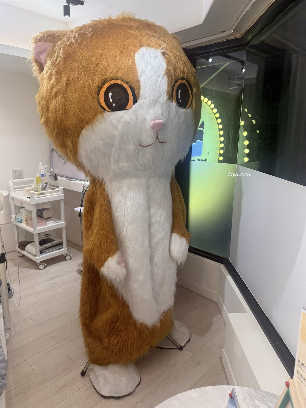 台北平價做臉|洗臉貓 台北信義安和店,通化夜市百元美容保養、清潔粉刺 - 第22張圖 台北平價做臉|洗臉貓 台北信義安和店,通化夜市百元美容保養、清潔粉刺