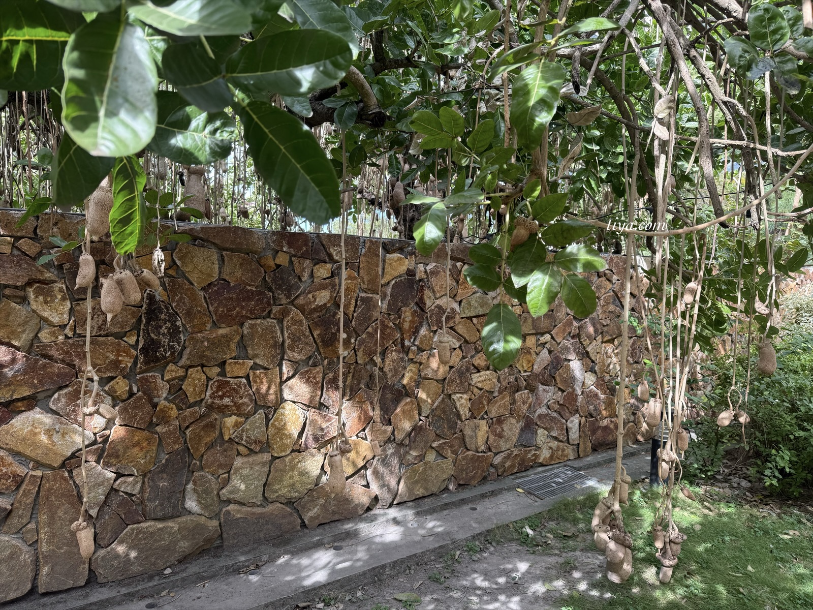 福容徠旅水里|南投水里集集飯店推薦,早餐、設施與雙人房開箱 - 第25張圖 福容徠旅水里|南投水里集集飯店推薦,早餐、設施與雙人房開箱