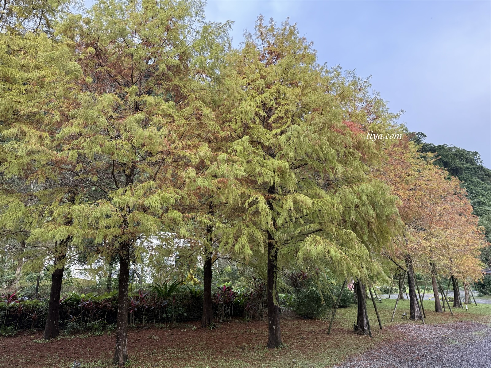 宜蘭寵物友善民宿｜有朋會館，會呼吸的清水模綠建築，鄰近三層坪、望龍埤