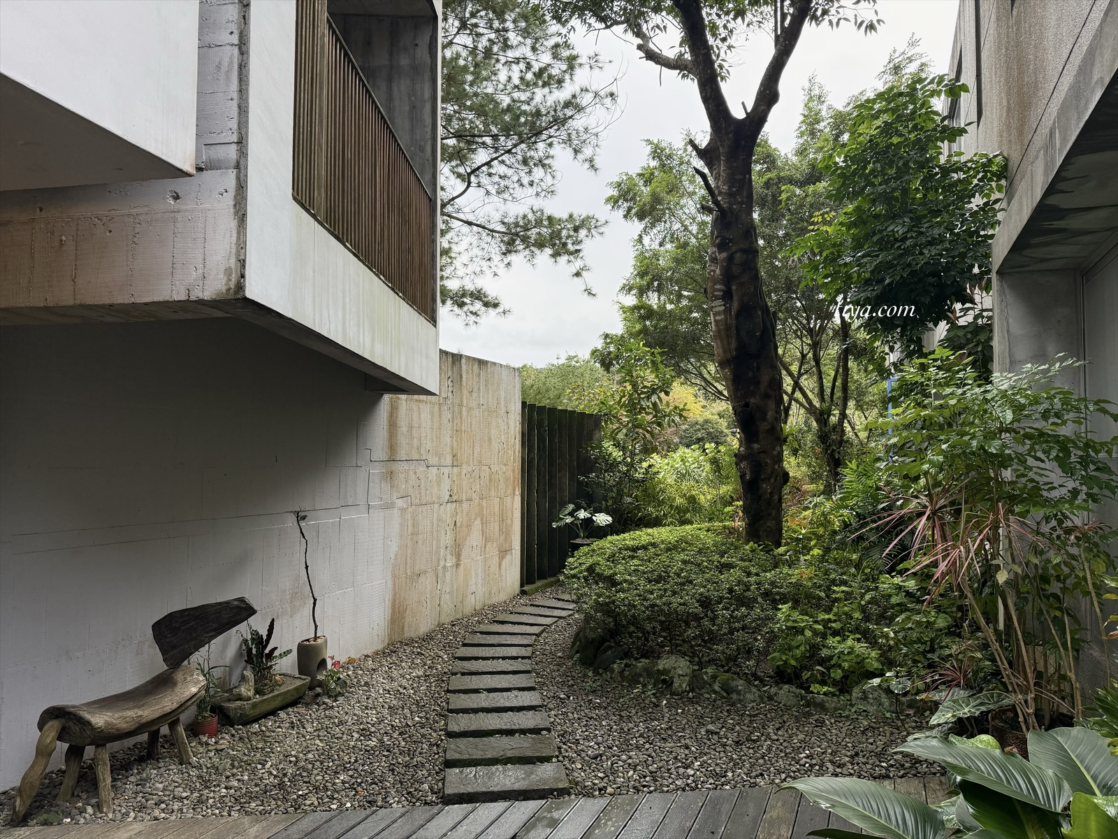 宜蘭寵物友善民宿｜有朋會館，會呼吸的清水模綠建築，鄰近三層坪、望龍埤
