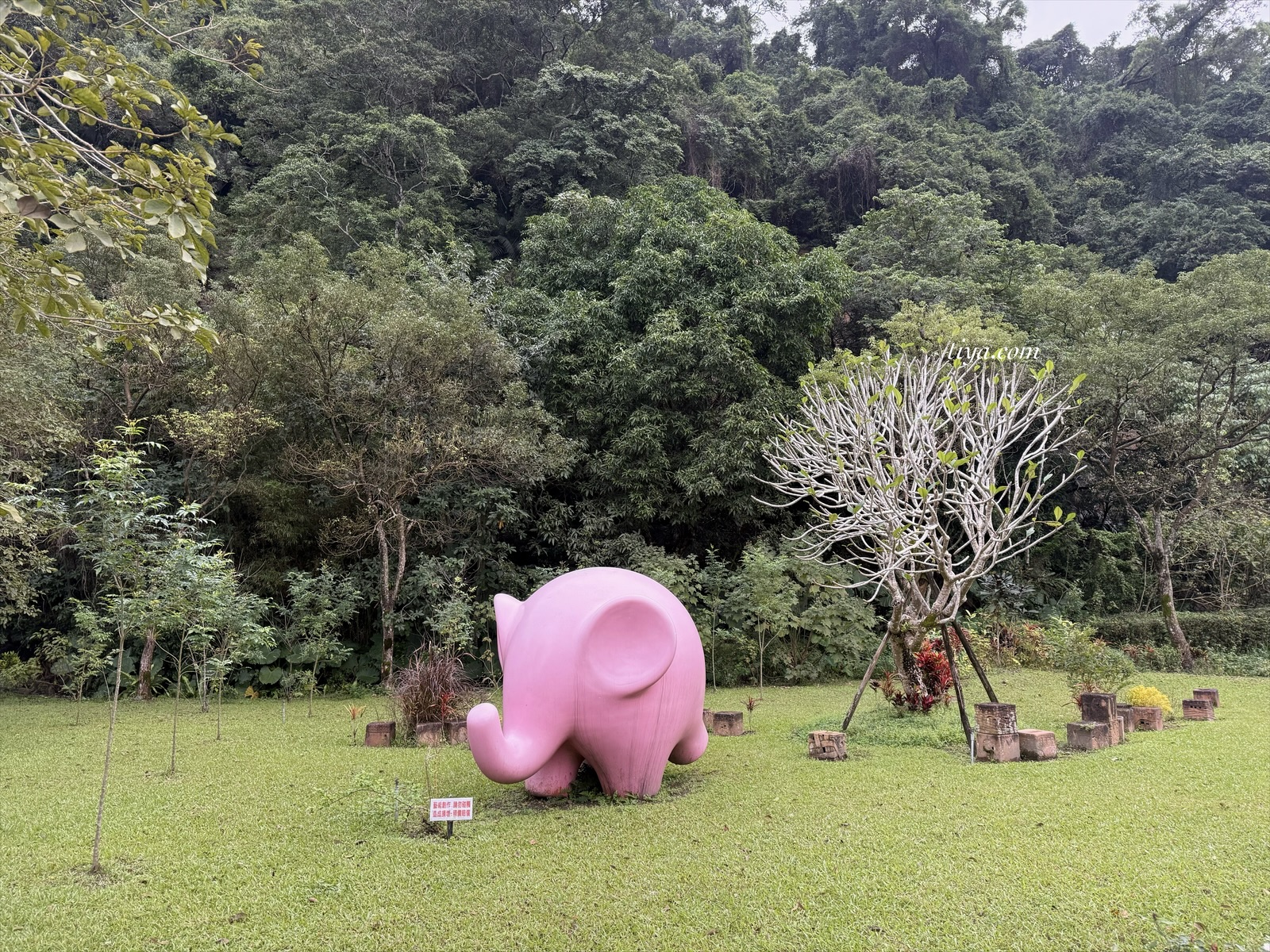 宜蘭寵物友善民宿｜有朋會館，會呼吸的清水模綠建築，鄰近三層坪、望龍埤