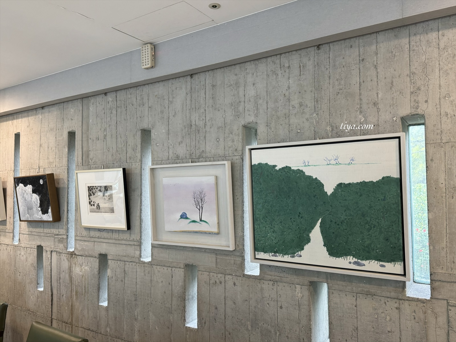 宜蘭寵物友善民宿｜有朋會館，會呼吸的清水模綠建築，鄰近三層坪、望龍埤