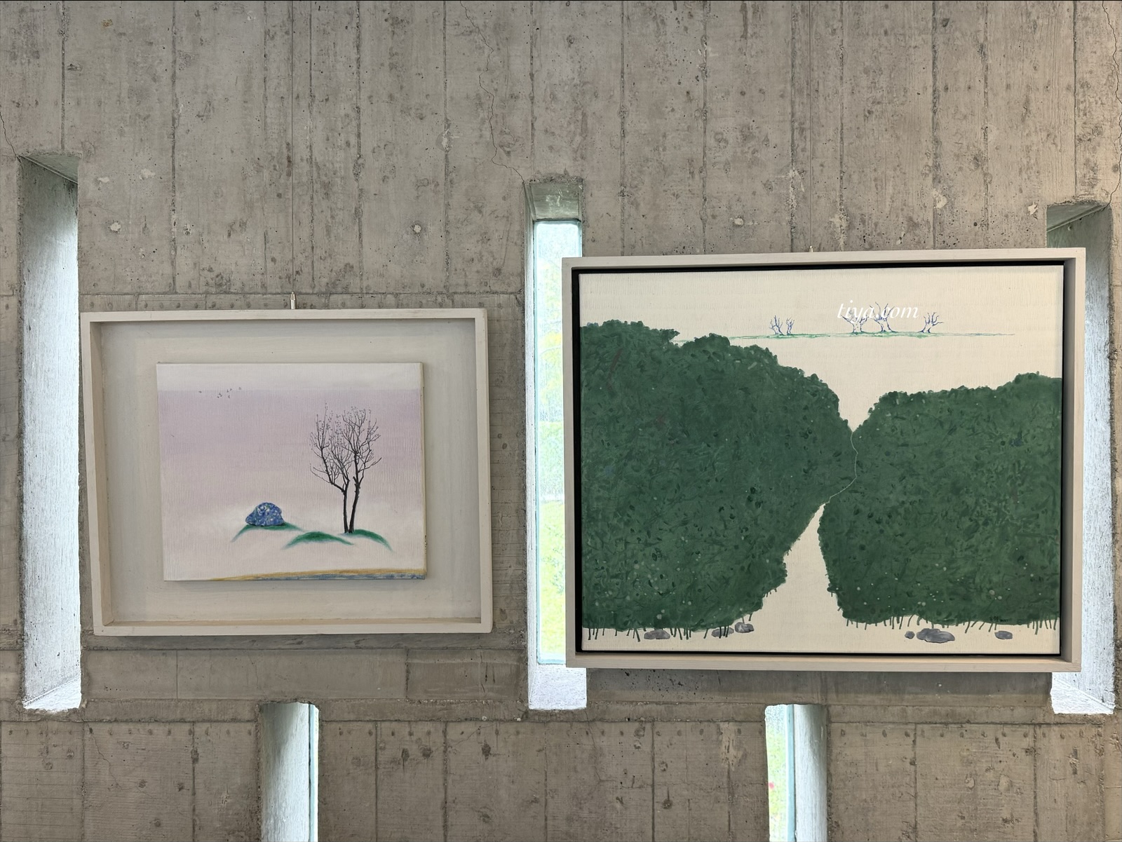 宜蘭寵物友善民宿｜有朋會館，會呼吸的清水模綠建築，鄰近三層坪、望龍埤