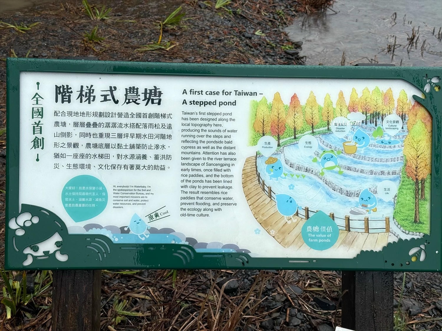 宜蘭寵物友善民宿|有朋會館,會呼吸的清水模綠建築,鄰近三層坪、望龍埤 - 第34張圖 宜蘭寵物友善民宿|有朋會館,會呼吸的清水模綠建築,鄰近三層坪、望龍埤