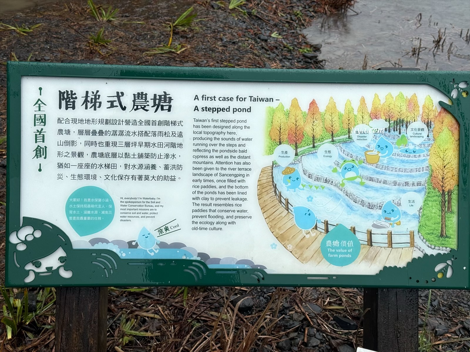 宜蘭寵物友善民宿｜有朋會館，會呼吸的清水模綠建築，鄰近三層坪、望龍埤