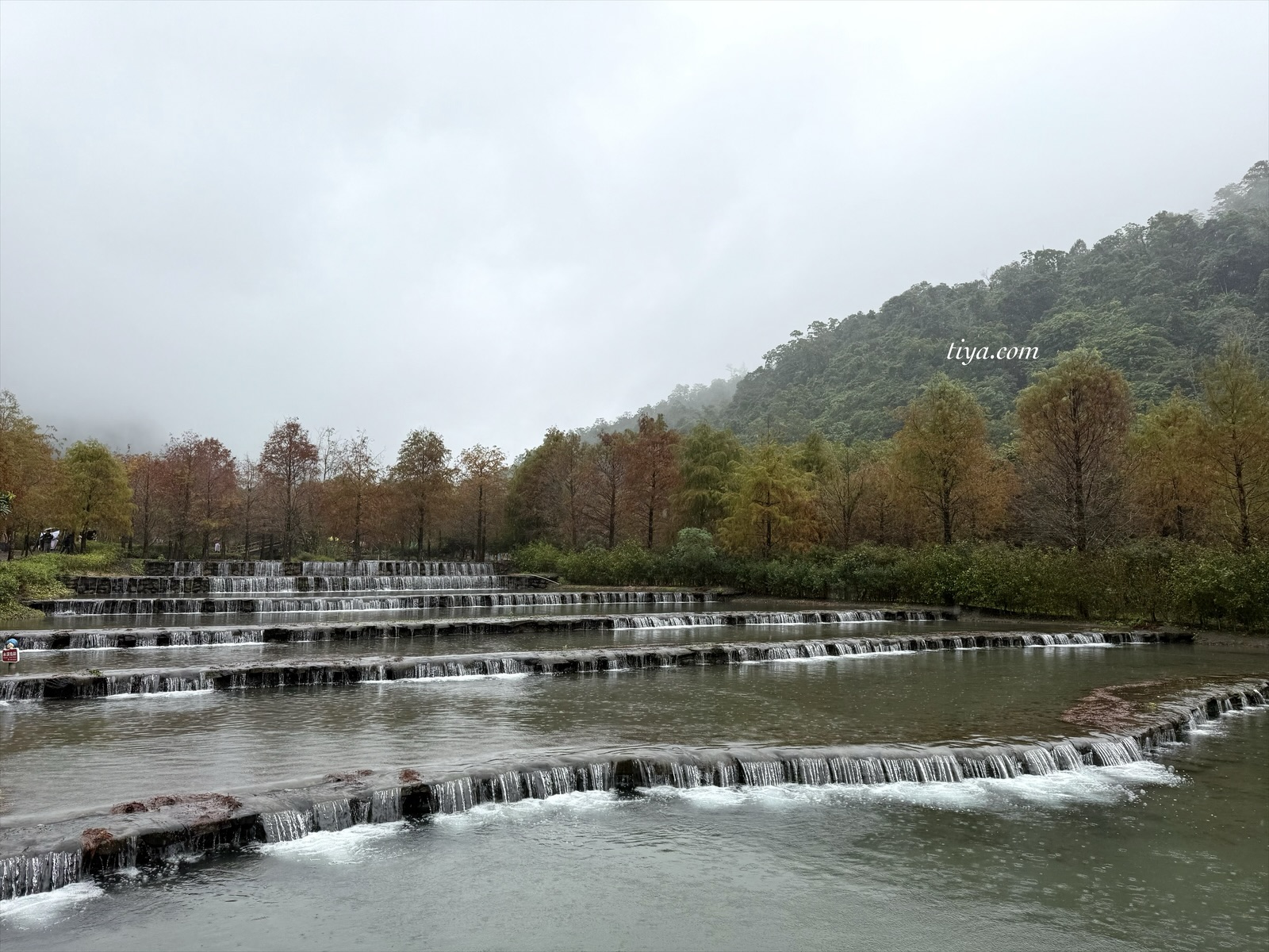 宜蘭寵物友善民宿｜有朋會館，會呼吸的清水模綠建築，鄰近三層坪、望龍埤