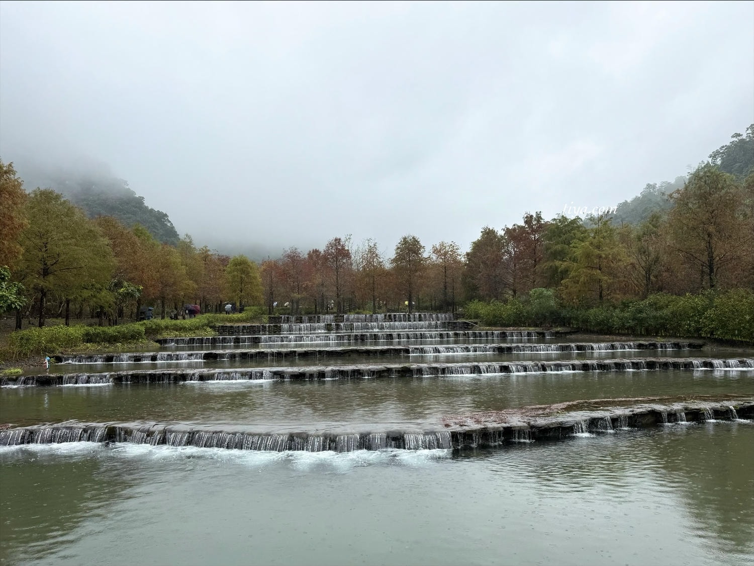 宜蘭寵物友善民宿|有朋會館,會呼吸的清水模綠建築,鄰近三層坪、望龍埤 - 第32張圖 宜蘭寵物友善民宿|有朋會館,會呼吸的清水模綠建築,鄰近三層坪、望龍埤