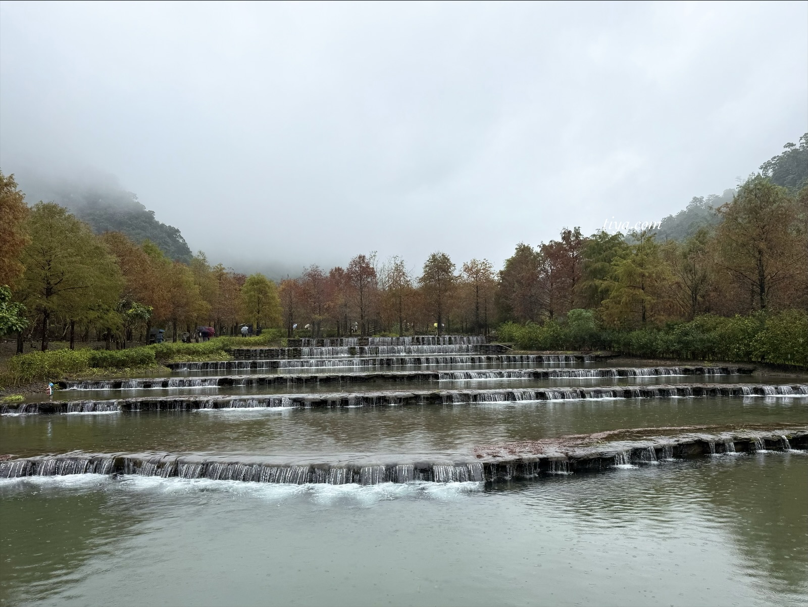 宜蘭寵物友善民宿｜有朋會館，會呼吸的清水模綠建築，鄰近三層坪、望龍埤