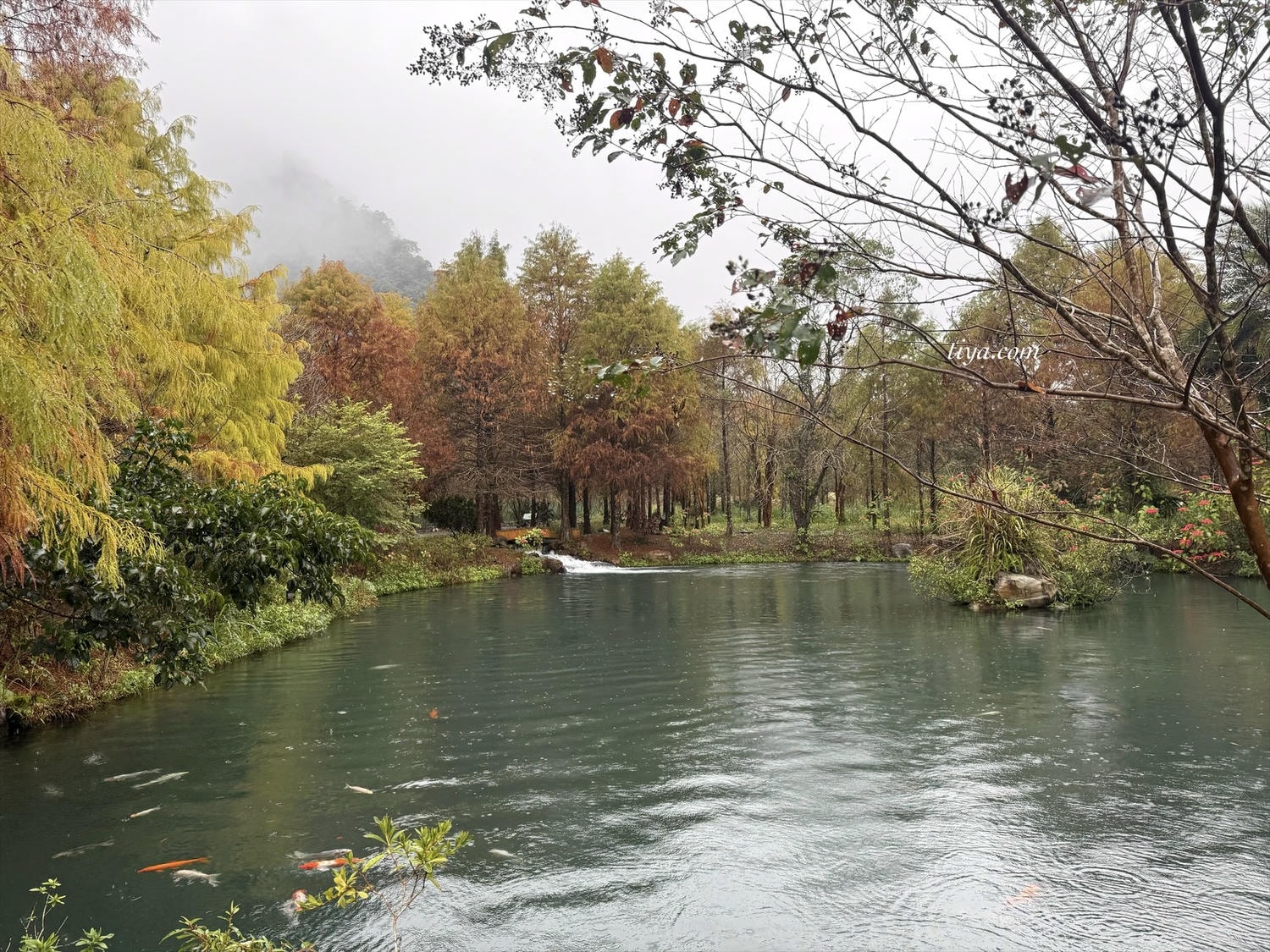 宜蘭寵物友善民宿|有朋會館,會呼吸的清水模綠建築,鄰近三層坪、望龍埤 - 第35張圖 宜蘭寵物友善民宿|有朋會館,會呼吸的清水模綠建築,鄰近三層坪、望龍埤