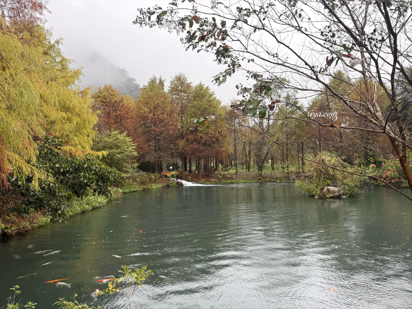 宜蘭寵物友善民宿｜有朋會館，會呼吸的清水模綠建築，鄰近三層坪、望龍埤