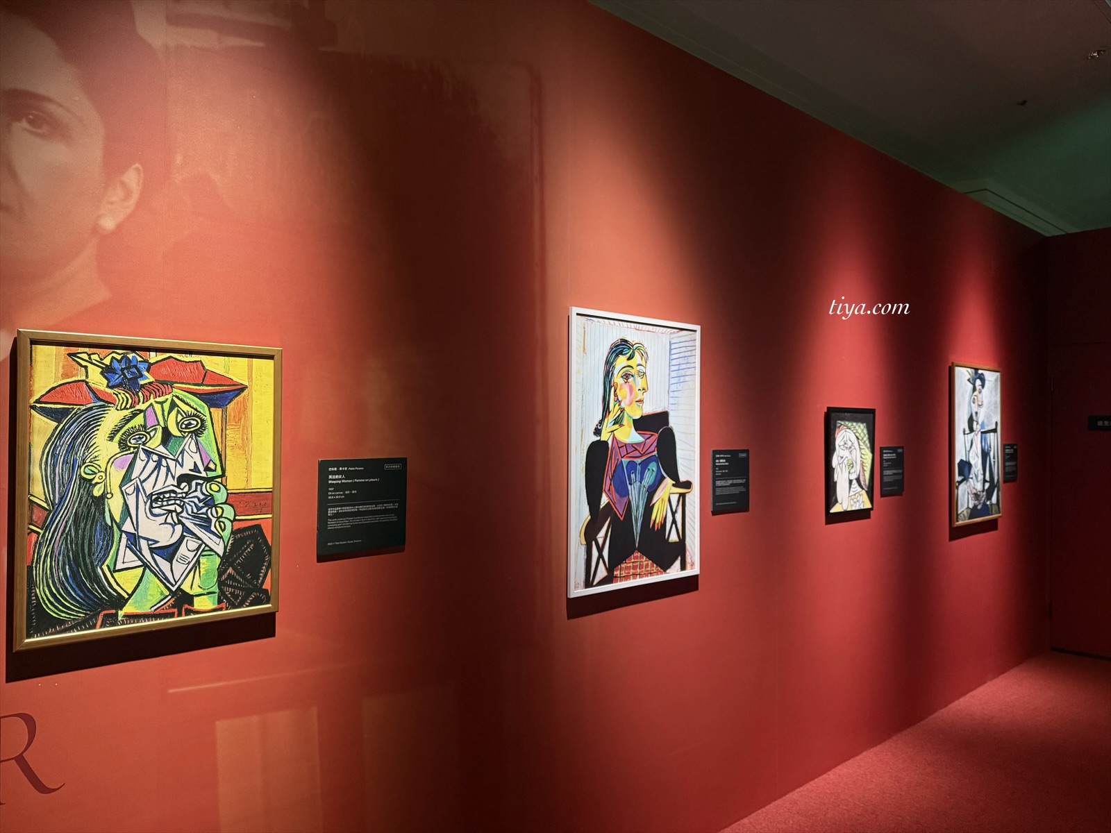 畢卡索展覽｜永恆畢卡索光影藝術展： 藝術、繆思與知己，沉浸式展覽體驗