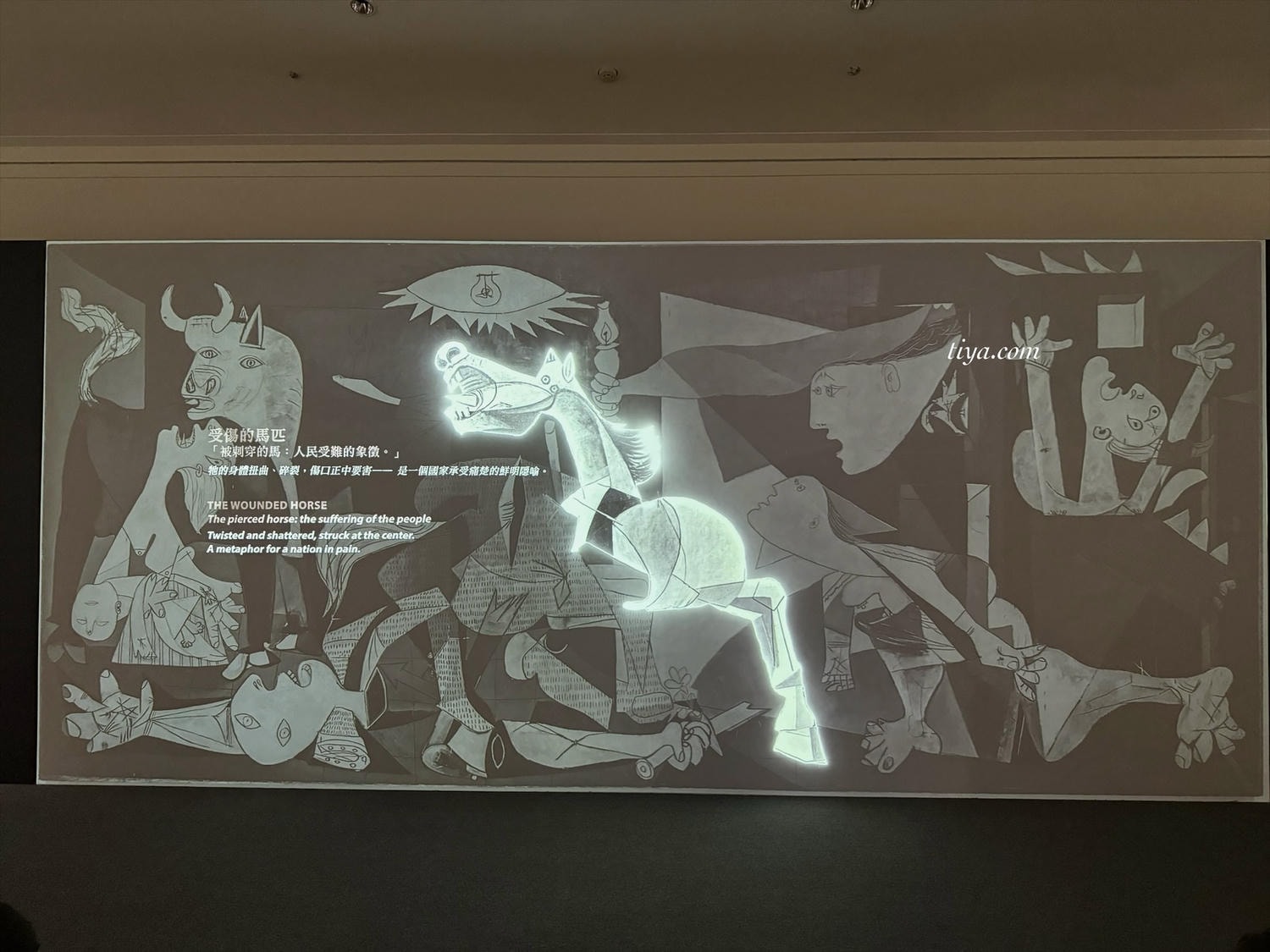 畢卡索展覽｜永恆畢卡索光影藝術展： 藝術、繆思與知己，沉浸式展覽體驗