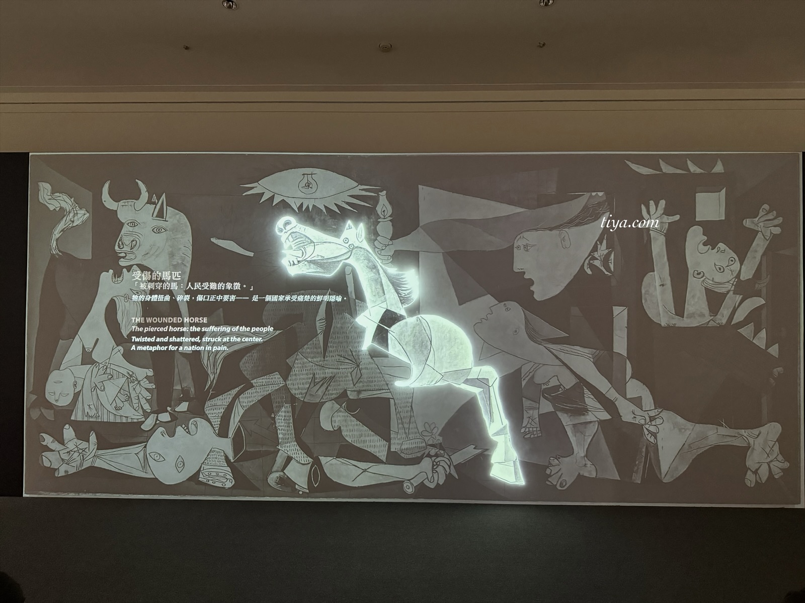 畢卡索展覽｜永恆畢卡索光影藝術展： 藝術、繆思與知己，沉浸式展覽體驗