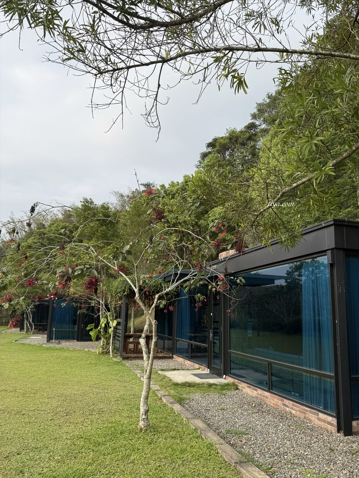 埔里泡湯民宿推薦｜方圓行止 住進7000坪山林！樹屋、玻璃屋、泡茶、採果超愜意