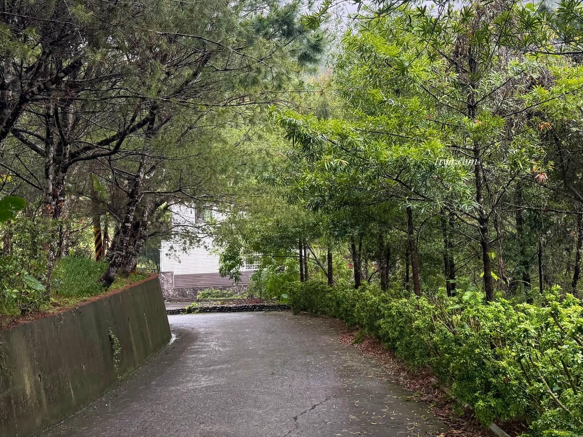 埔里泡湯民宿推薦｜方圓行止 住進7000坪山林！樹屋、玻璃屋、泡茶、採果超愜意