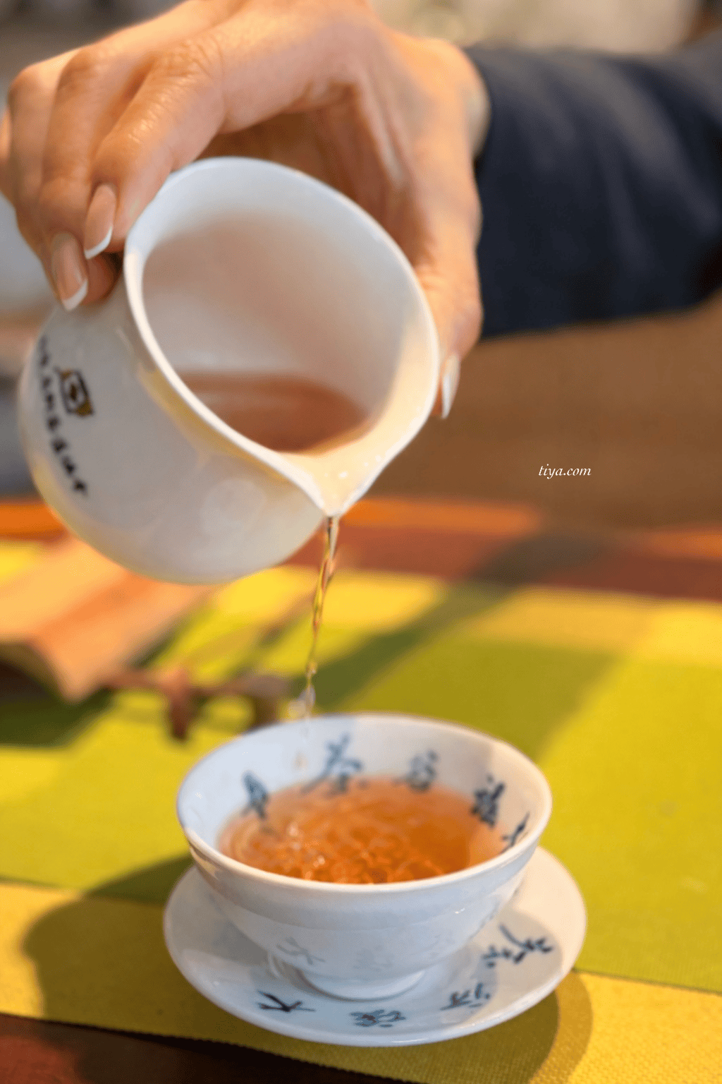 埔里泡湯民宿推薦｜方圓行止 住進7000坪山林！樹屋、玻璃屋、泡茶、採果超愜意